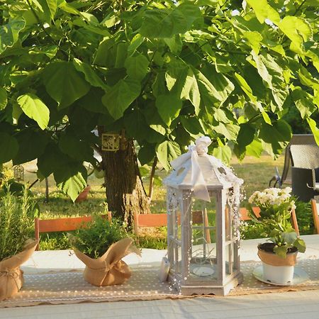 Bed & Tours Dimora Di Campagna Panzió Castelnuovo Belbo Kültér fotó