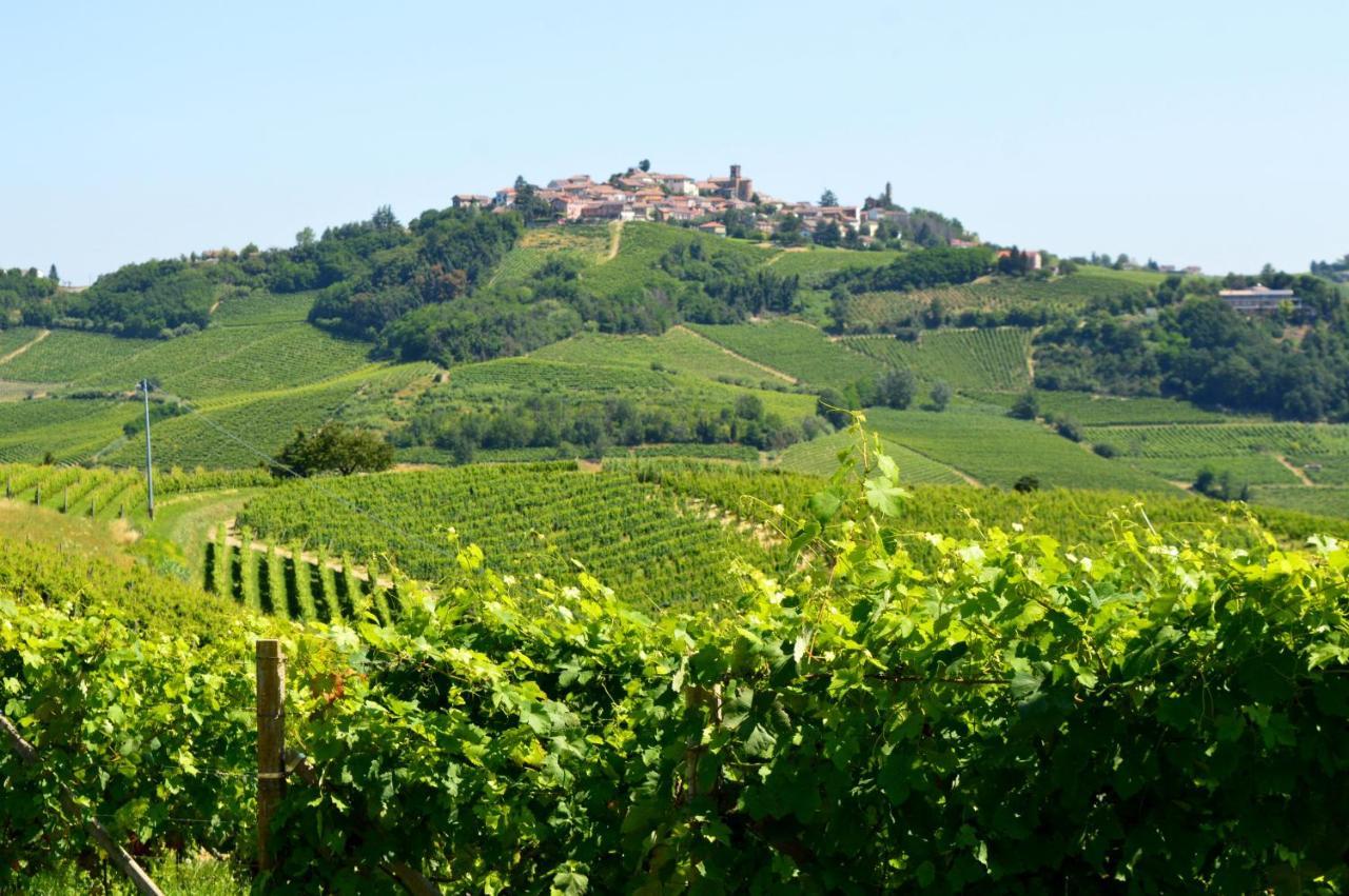Bed & Tours Dimora Di Campagna Panzió Castelnuovo Belbo Kültér fotó