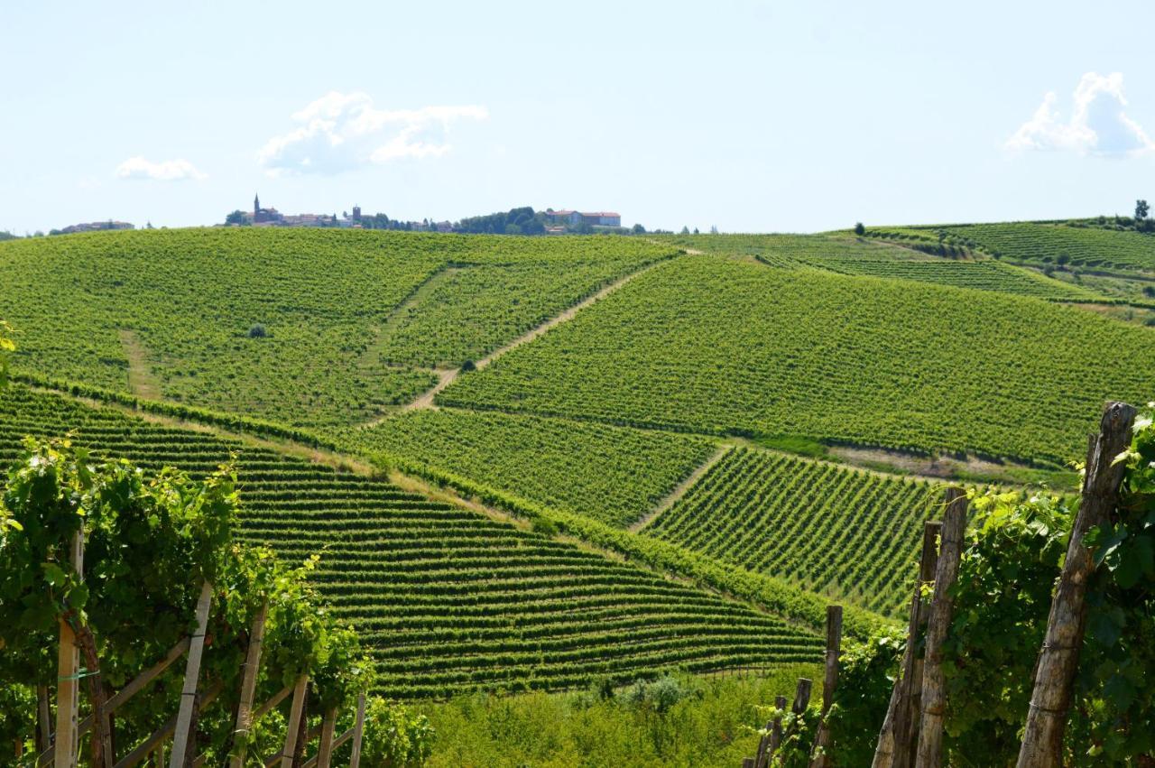 Bed & Tours Dimora Di Campagna Panzió Castelnuovo Belbo Kültér fotó