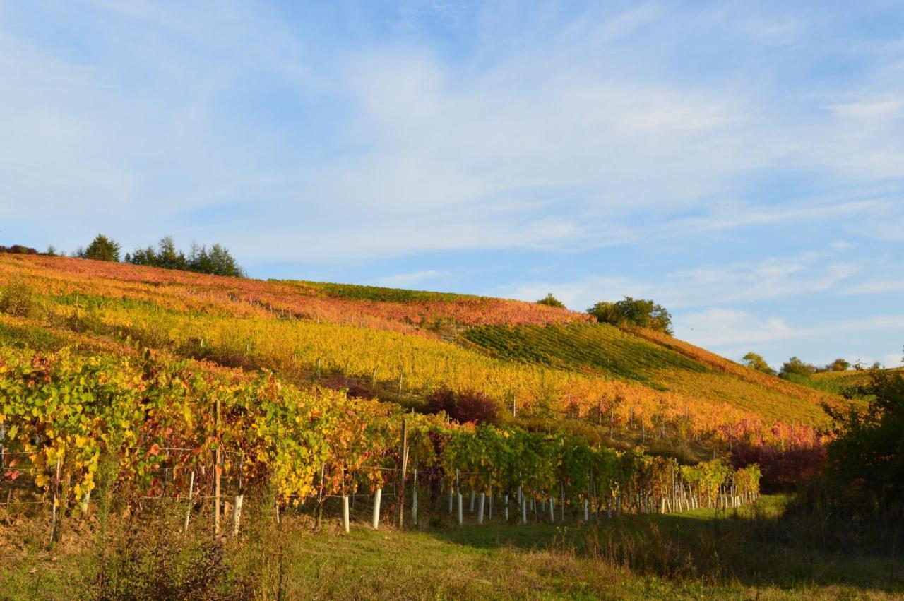 Bed & Tours Dimora Di Campagna Panzió Castelnuovo Belbo Kültér fotó