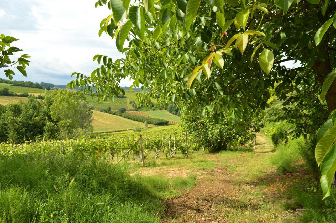 Bed & Tours Dimora Di Campagna Panzió Castelnuovo Belbo Kültér fotó