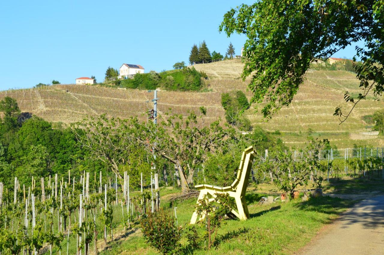 Bed & Tours Dimora Di Campagna Panzió Castelnuovo Belbo Kültér fotó